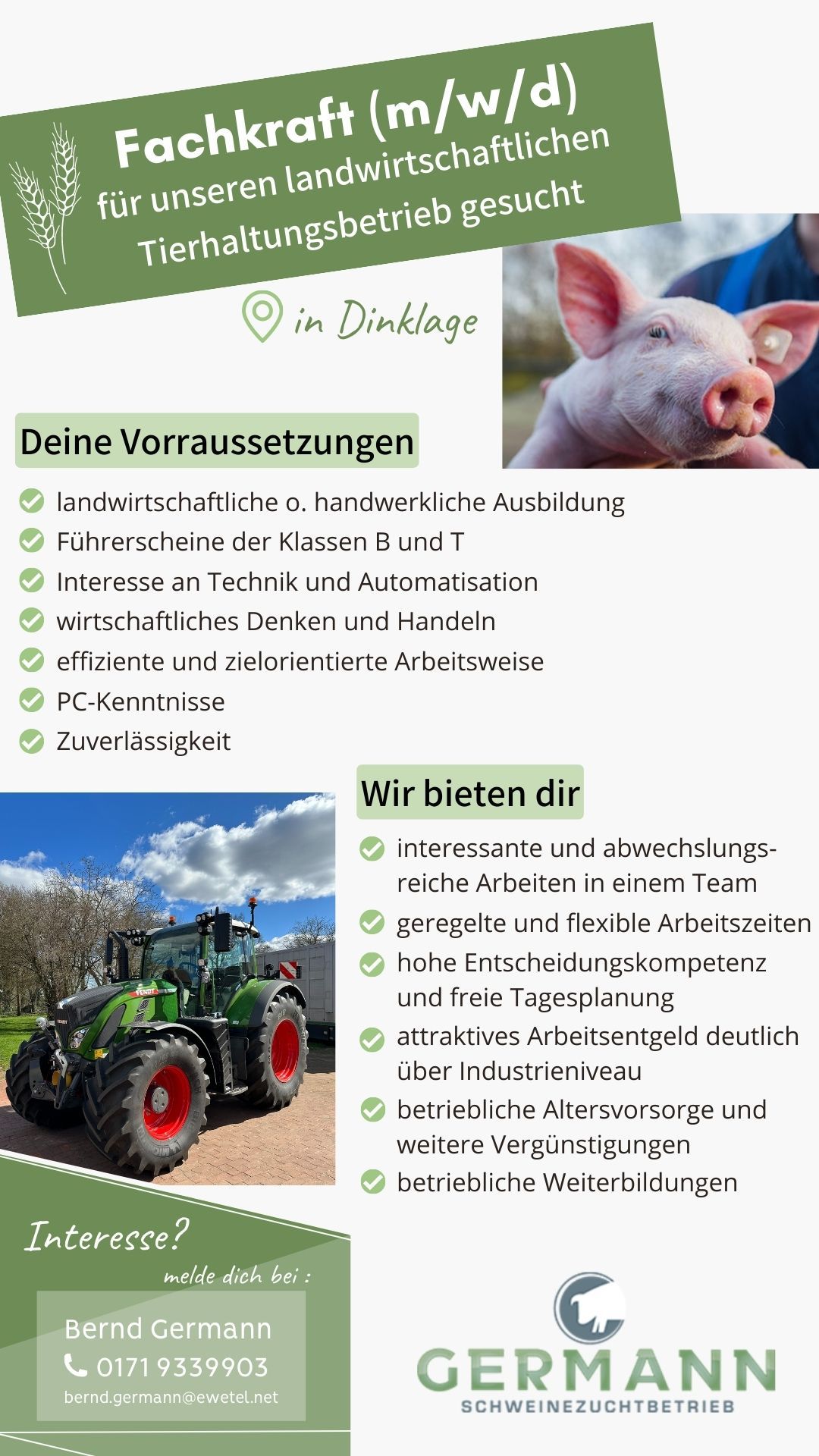 Ferkel